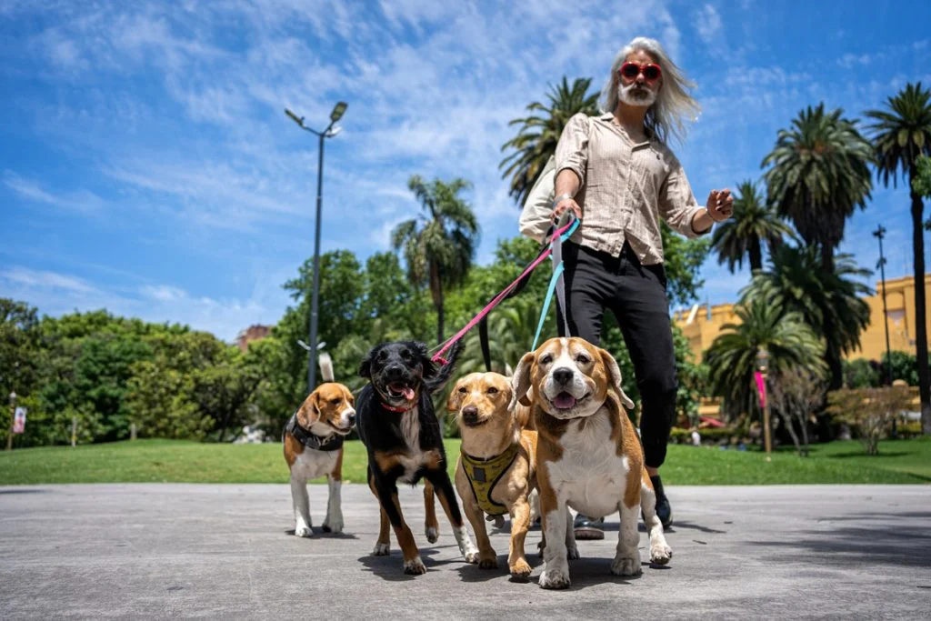 dog_walker-final-1024x683.webp