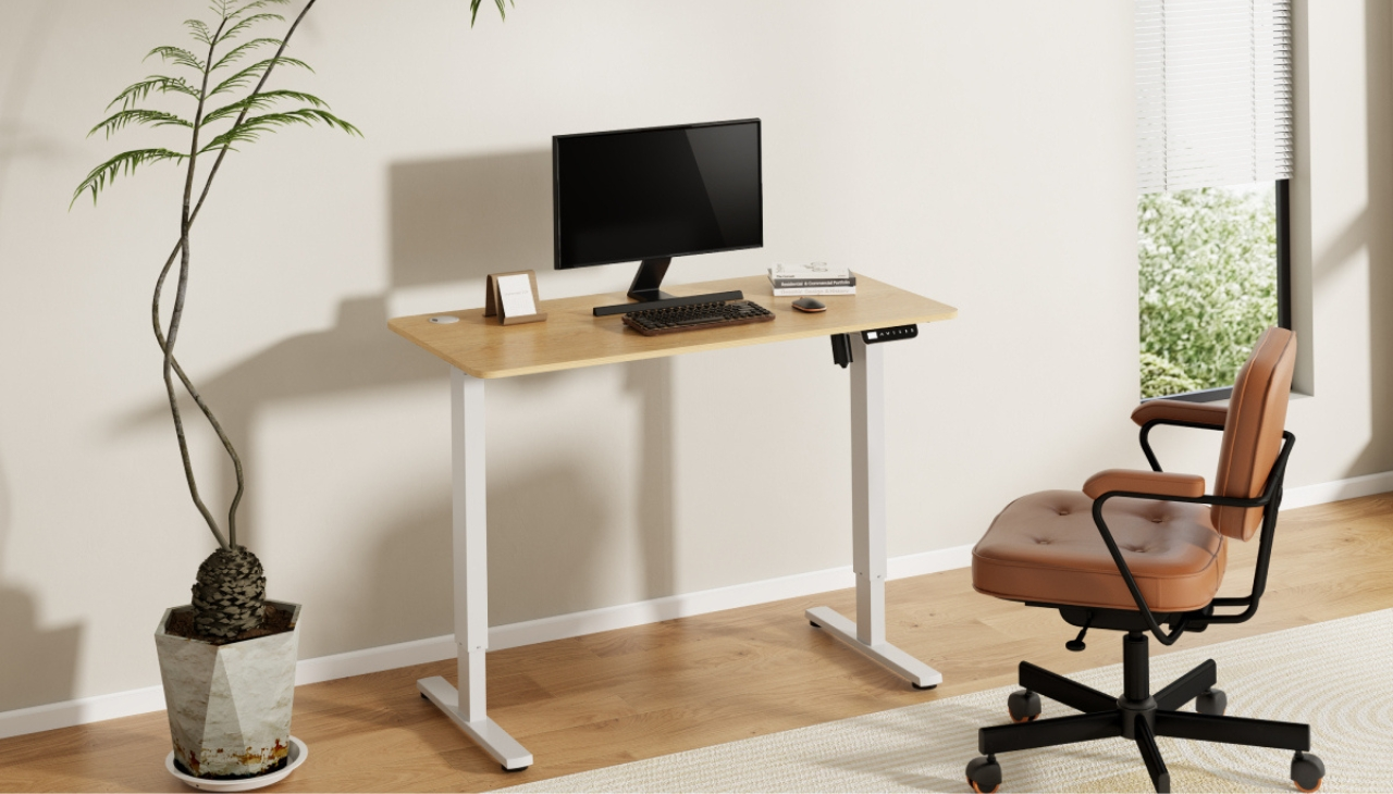 ergolux-kogan-standing-desk