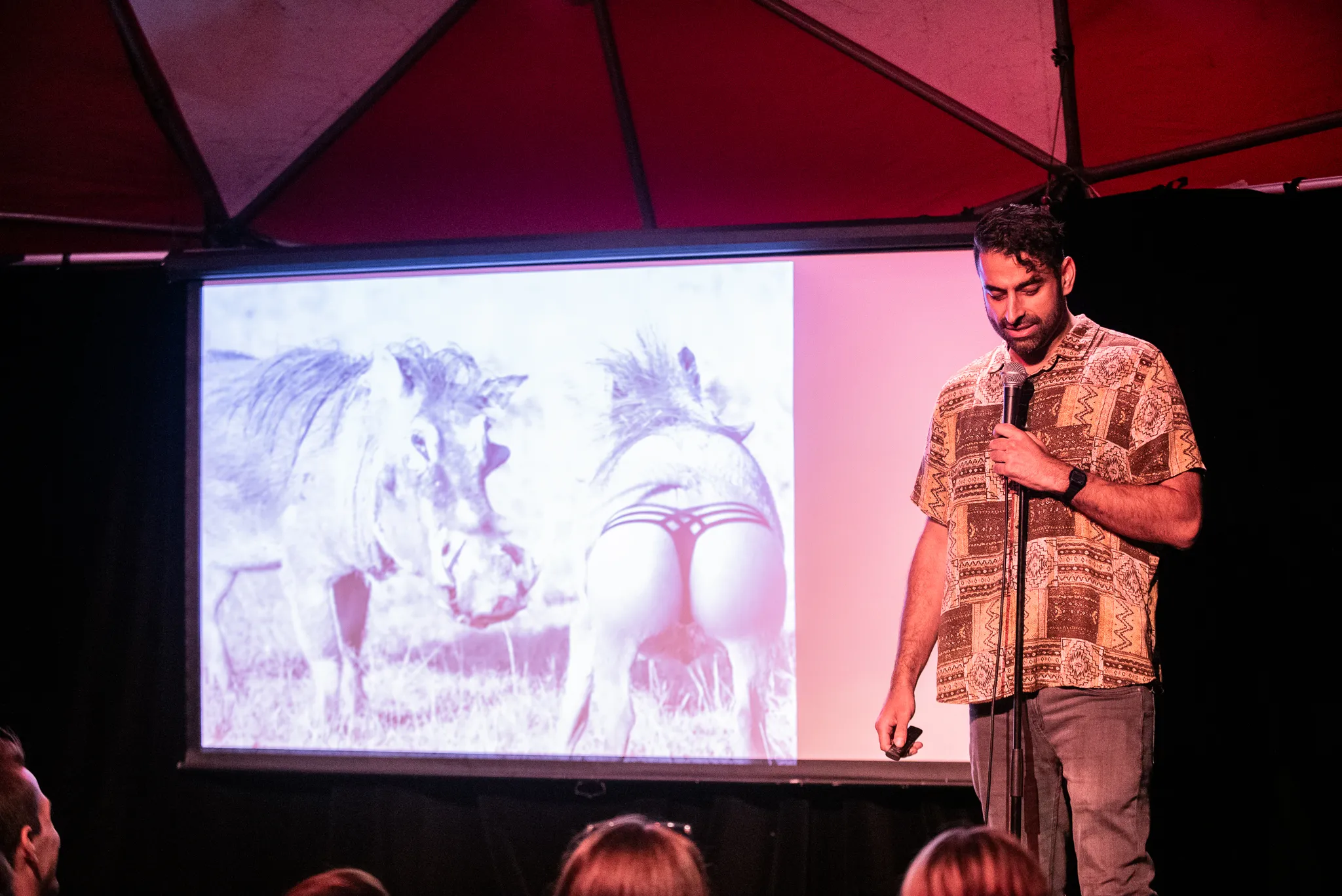 late-nite-comedy-adelaide-fringe-festival