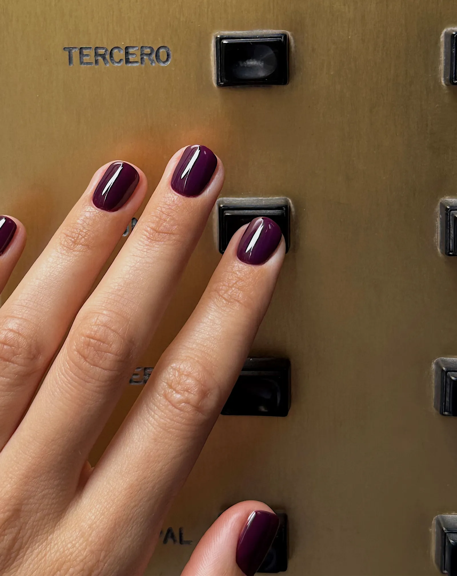 Dark Wine Red-Purples_0004_3_Courtesy of @matejanova.webp