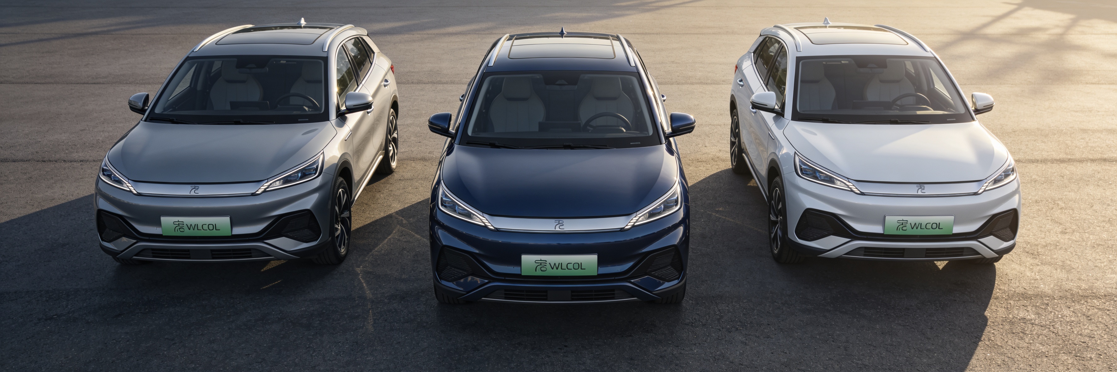 Electric crossover alternatives