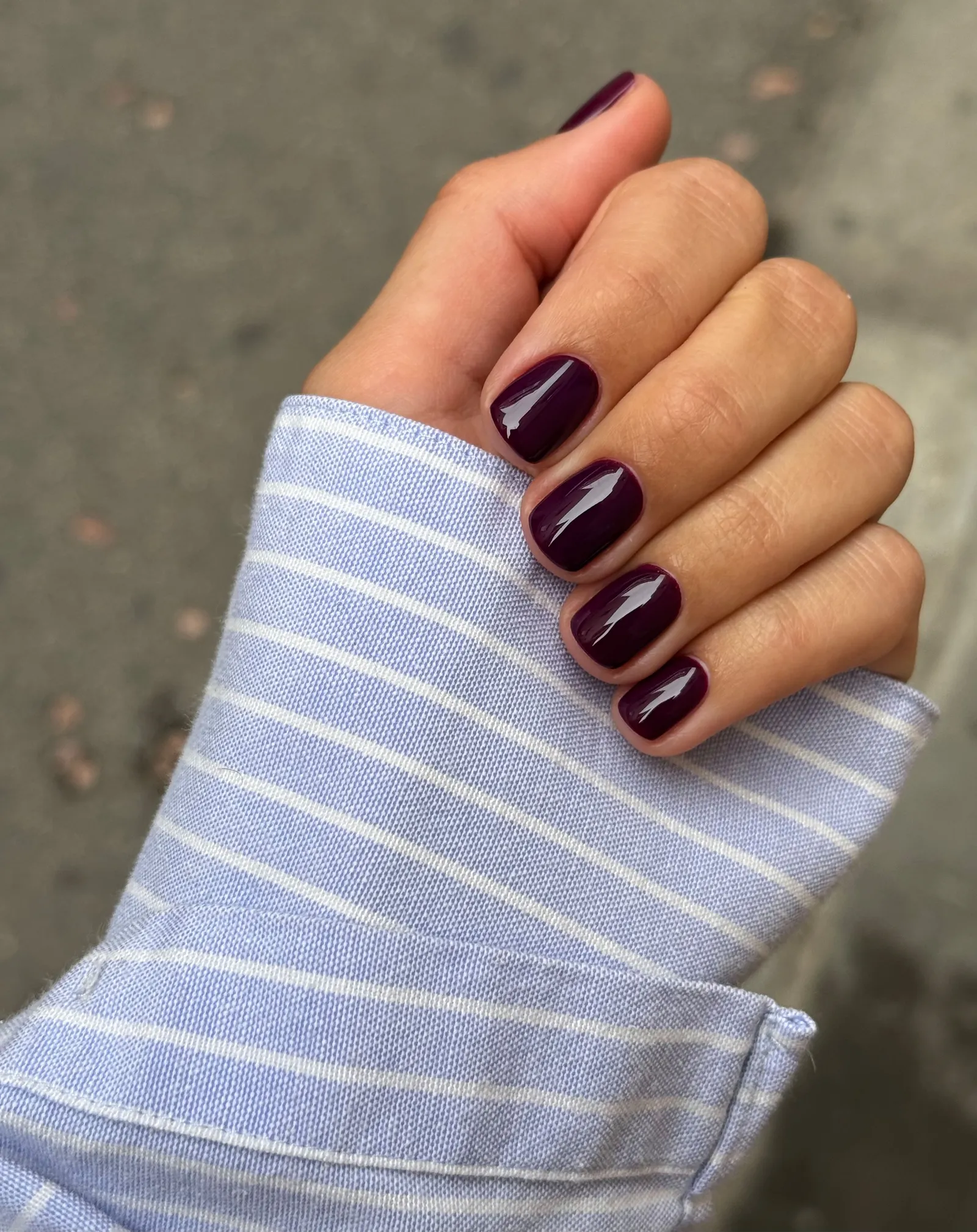 Dark Wine Red-Purples_0005_2_Courtesy of @matejanova.webp