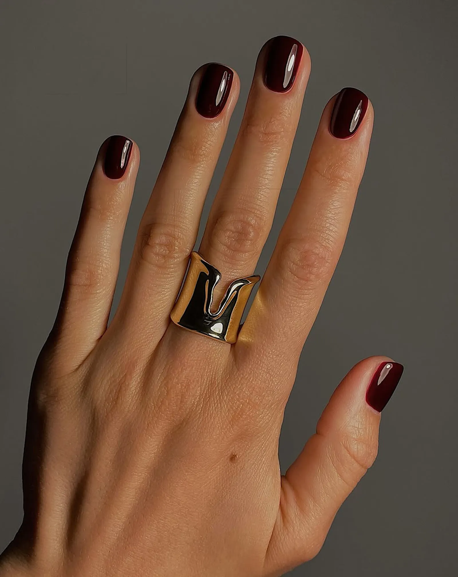 Dark Wine Red-Purples_0001_7_Courtesy of @matejanova.webp