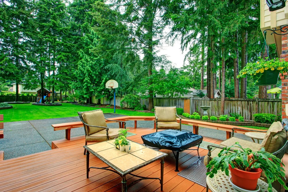 backyard.jpg