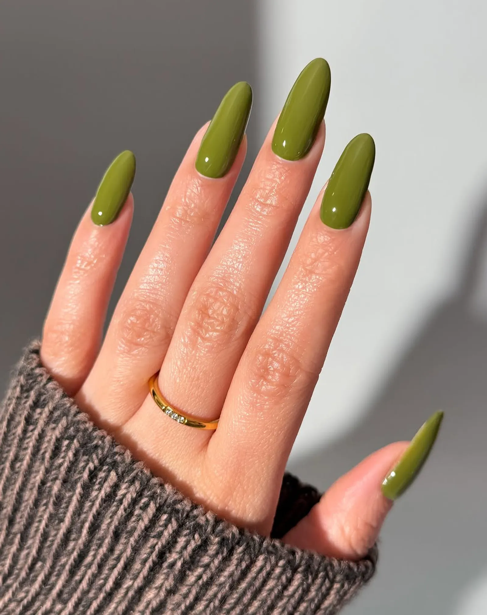 olive green_0000_Courtesy of @thecolornook.webp